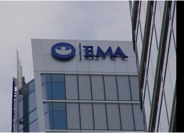 Berufung von Bernd Gänsbacher zum stellvertretenden Mitglied des Ausschusses für neuartige Therapien der EMA lässt tief in den Pharma-EMA-Sumpf blicken