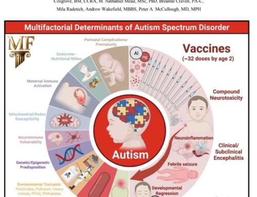 Uno studio meta-analitico pubblicato ieri negli Stati Uniti conferma che il proliferante programma di vaccinazione pediatrica è il fattore determinante dell’esplosione dei disturbi dello spettro autistico