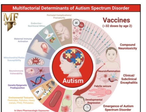 Gestern in den USA veröffentlichte Meta-Studie bestätigt das ausufernde Kinderimpfprogramm als fundamentalen Driver der Explosion der Autismus-Spektrumstörungen  In den USA wurde eine umfassende META-Analyse aller bis dato veröffentlichten und bekannten Studien zu den Ursachen der Autismus-Spektrumstörungen veröffentlicht.